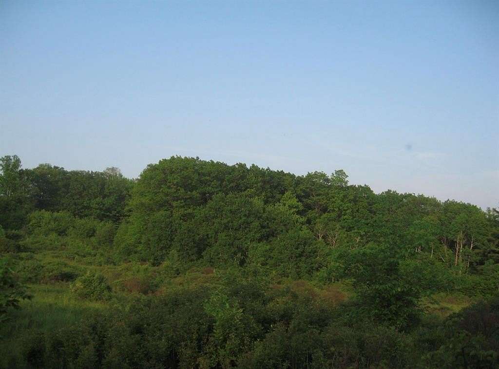 44.5 Acres of Recreational & Residential Land for Sale in Harpursville, New York