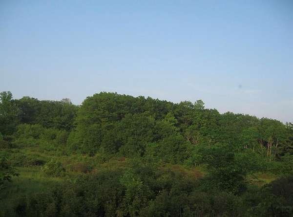 44.5 Acres of Recreational & Residential Land for Sale in Harpursville, New York