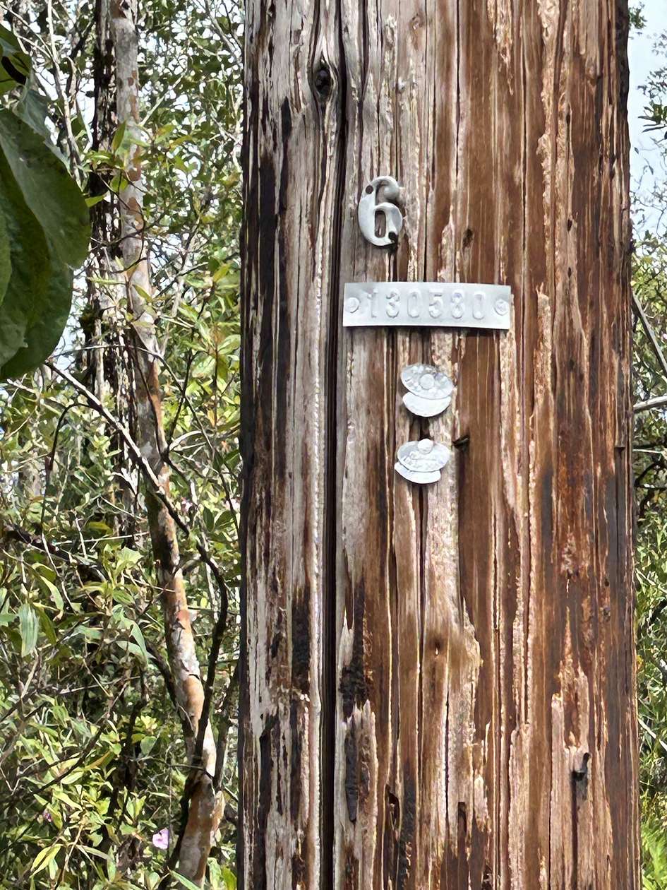 0.19 Acres of Residential Land for Sale in Kurtistown, Hawaii