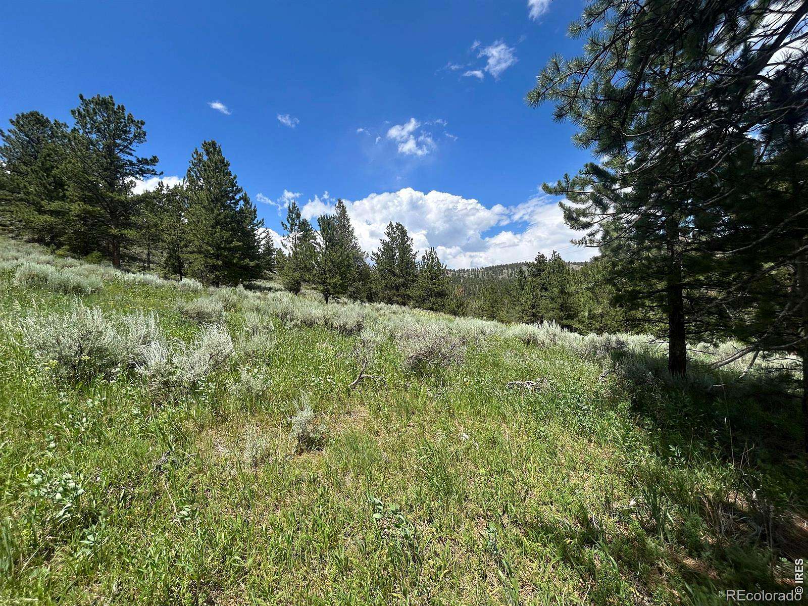 5.38 Acres of Land for Sale in Red Feather Lakes, Colorado