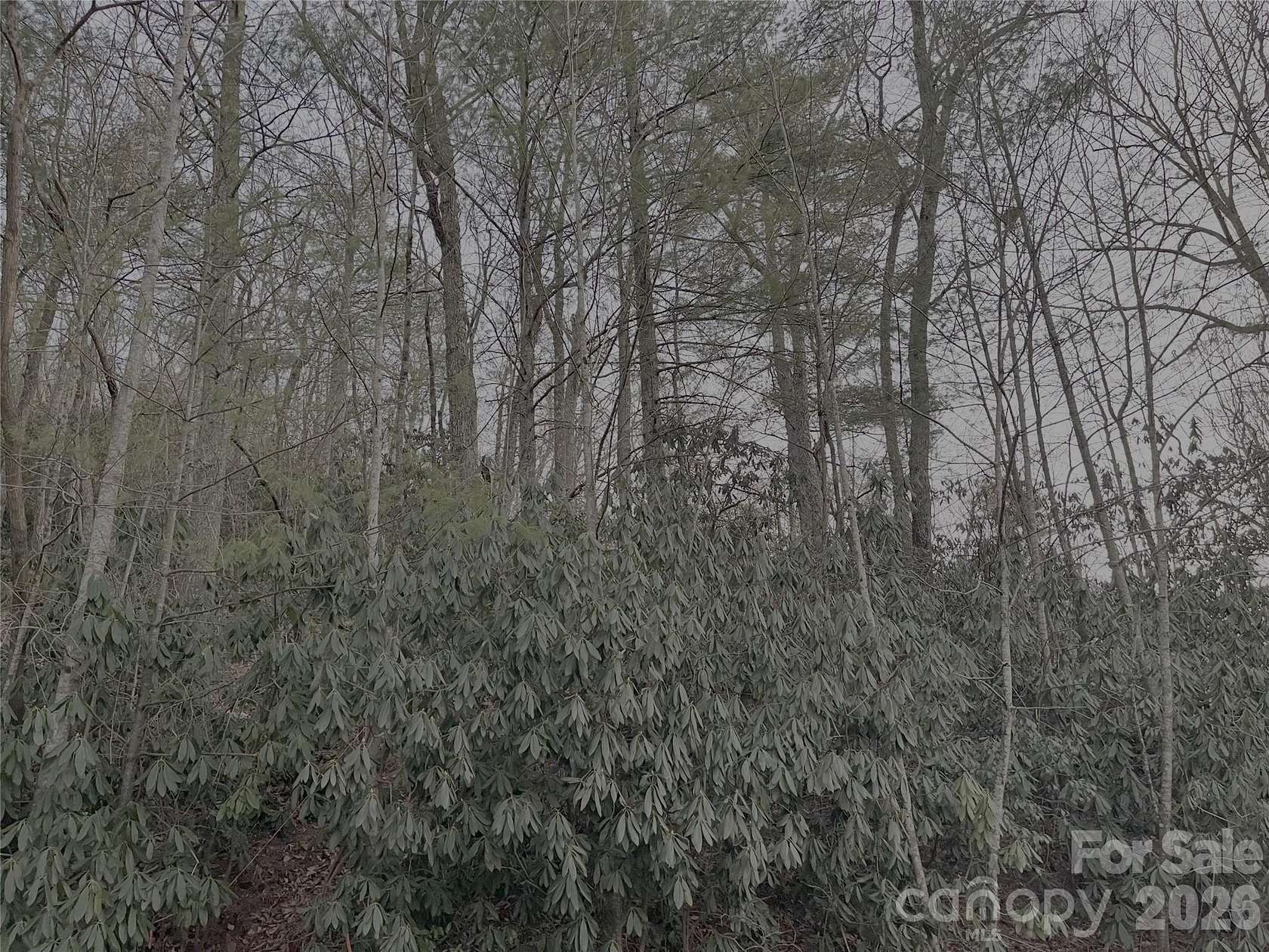 0.47 Acres of Residential Land for Sale in Hendersonville, North Carolina