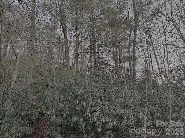 0.47 Acres of Residential Land for Sale in Hendersonville, North Carolina