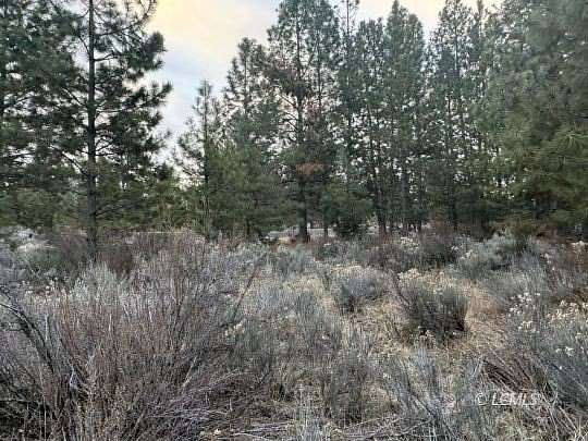 0.24 Acres of Residential Land for Sale in Chiloquin, Oregon
