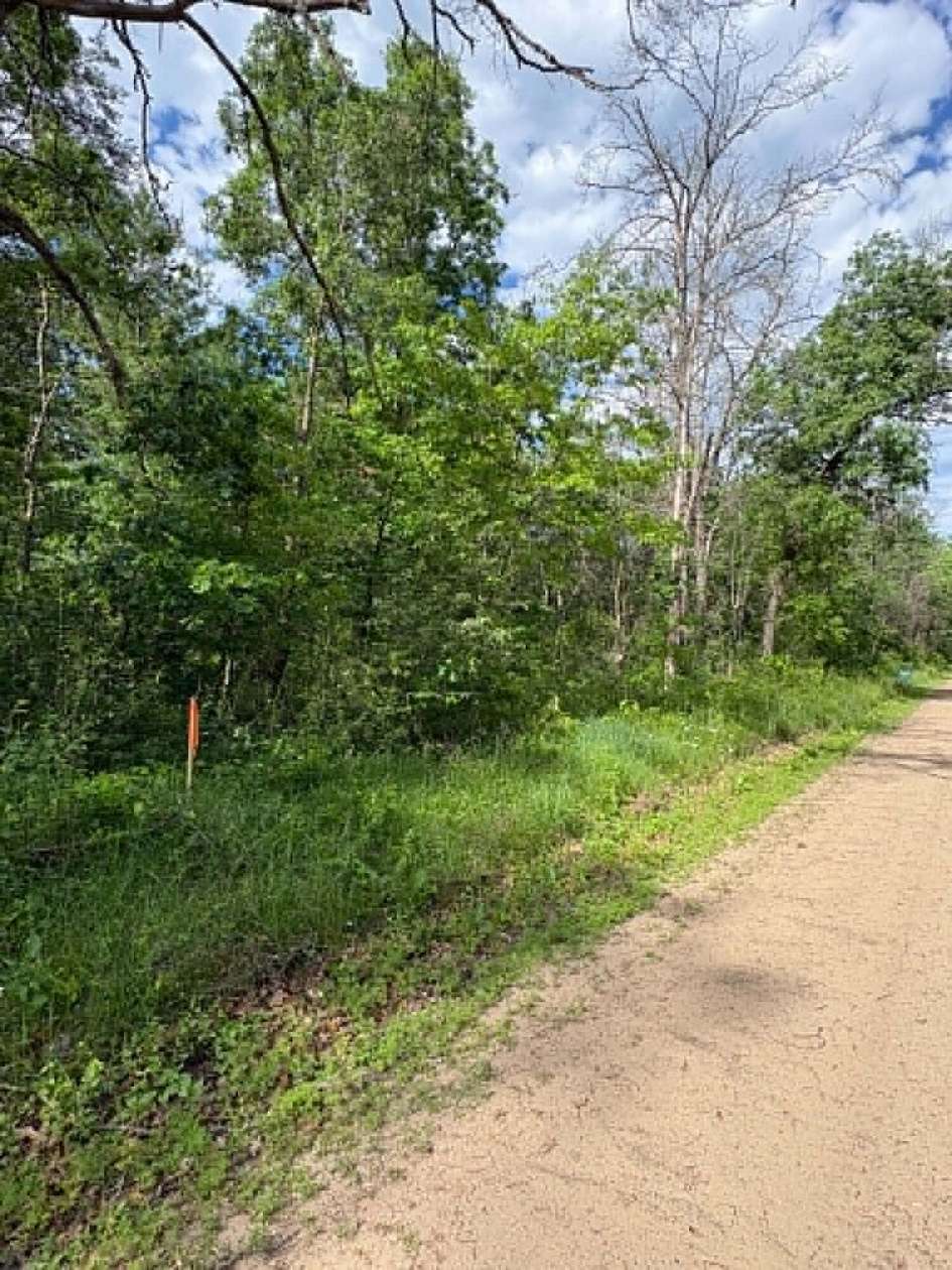 0.64 Acres of Land for Sale in Idlewild, Michigan