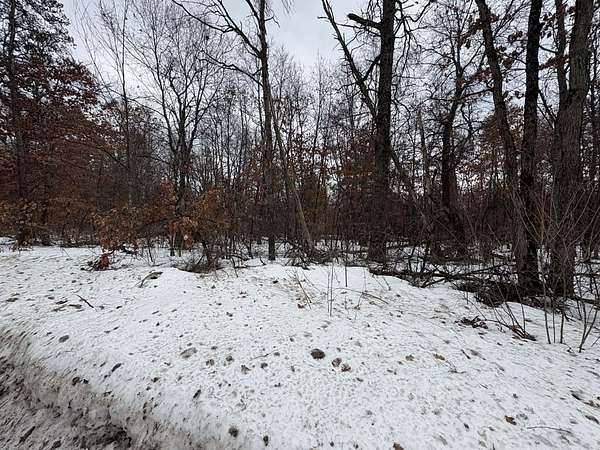 0.64 Acres of Residential Land for Sale in Idlewild, Michigan