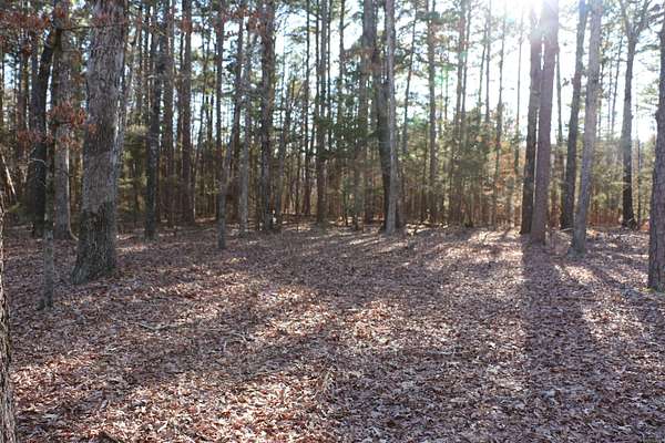 0.32 Acres of Residential Land for Sale in Fairfield Bay, Arkansas