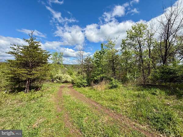 9.49 Acres of Residential Land for Sale in Shermans Dale, Pennsylvania