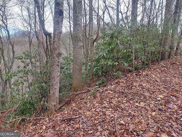 1.2 Acres of Land for Sale in Sky Valley, Georgia