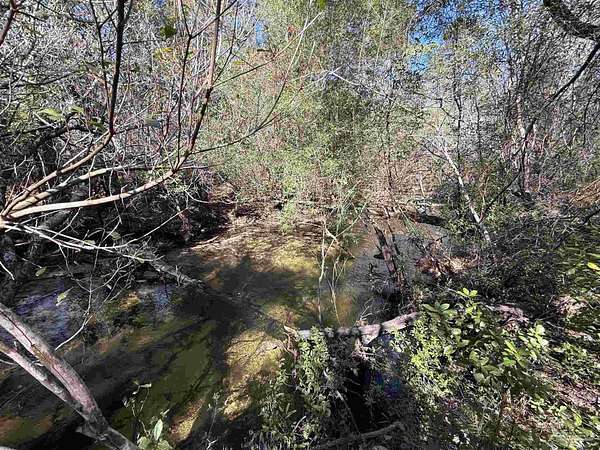 4.23 Acres of Residential Land for Sale in Pace, Florida