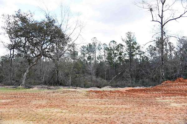 4.1 Acres of Residential Land for Sale in Pace, Florida