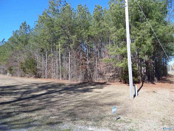 4.17 Acres of Land for Sale in Centre, Alabama