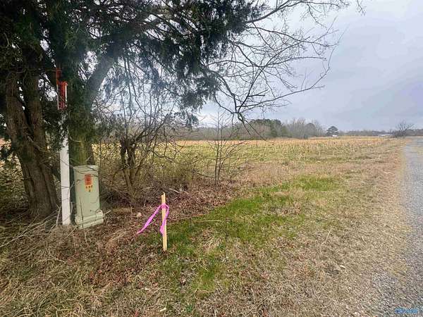 29.5 Acres of Agricultural & Residential Land for Sale in Section, Alabama