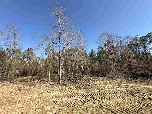 4.46 Acres of Residential Land for Sale in Pace, Florida