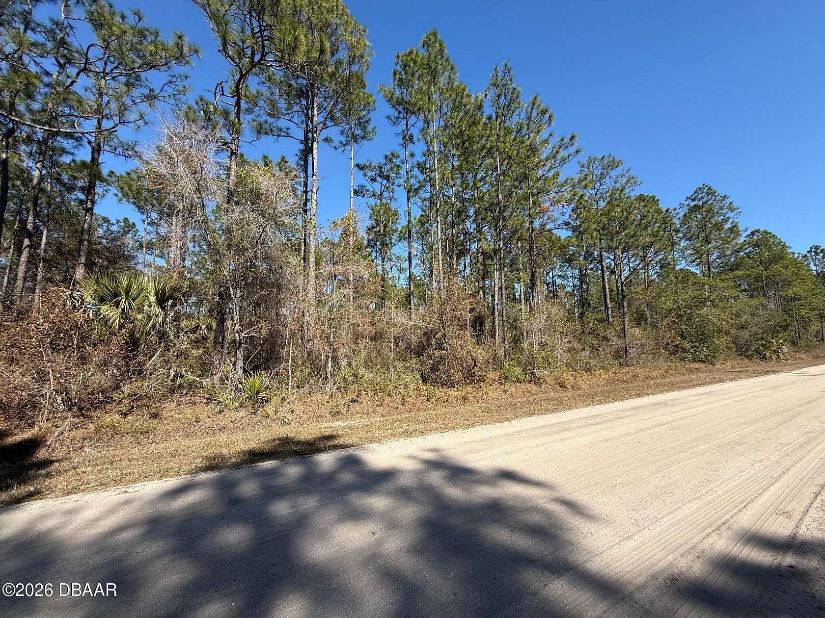 1.14 Acres of Residential Land for Sale in Bunnell, Florida