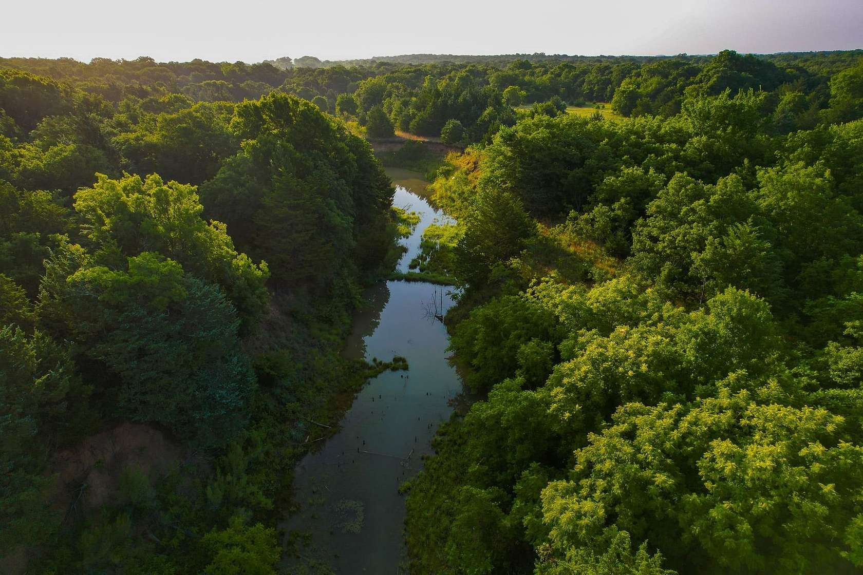 144 Acres of Land for Sale in Forestburg, Texas