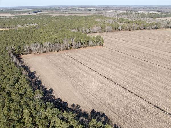 36.3 Acres of Recreational & Residential Land for Sale in Tyner, North Carolina