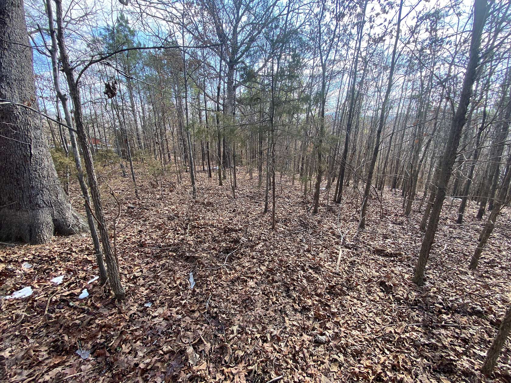 2 Acres of Residential Land for Sale in Hasty, Arkansas
