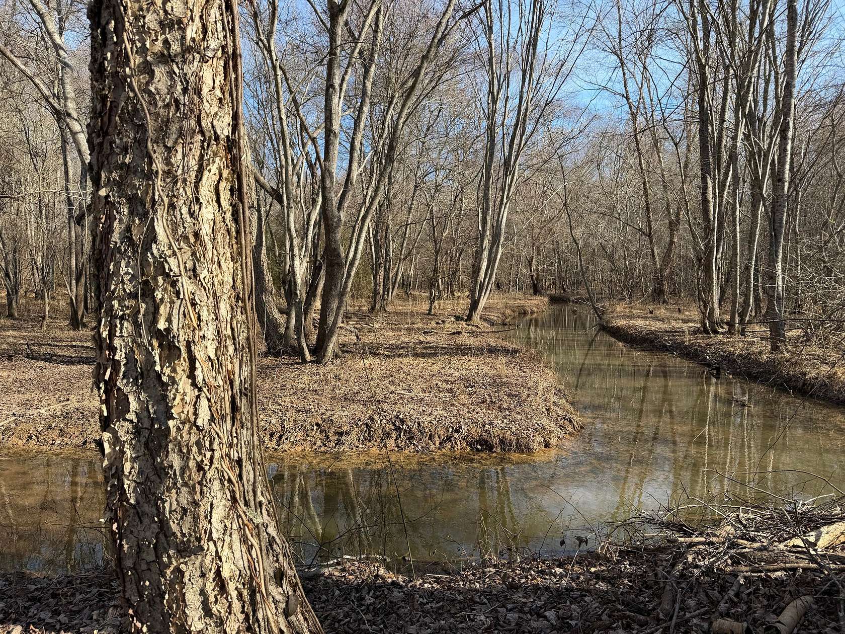 40 Acres of Recreational & Residential Land for Sale in Sharpsburg, Georgia