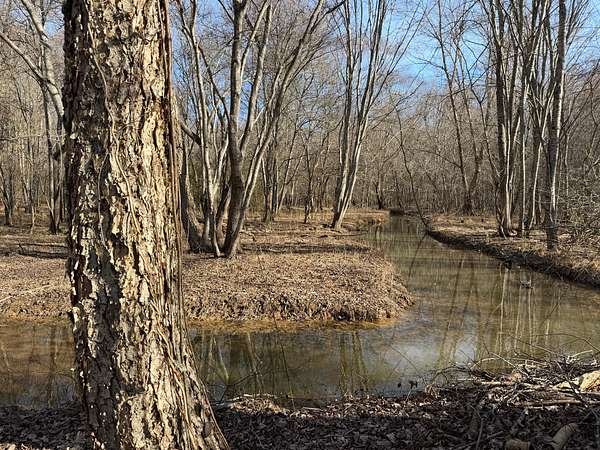 40 Acres of Recreational & Residential Land for Sale in Sharpsburg, Georgia