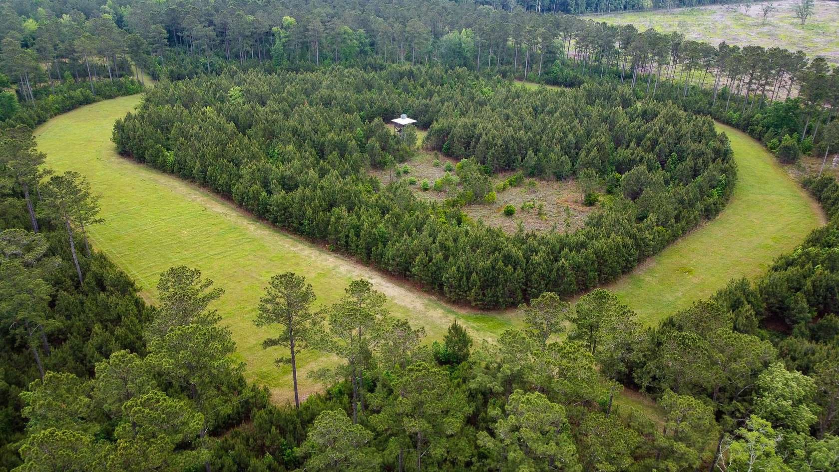 286 Acres of Recreational Land for Sale in Jacksonboro, South Carolina