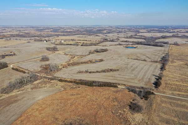 40 Acres of Land for Sale in Martinsville, Missouri