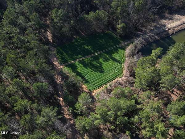 20 Acres of Land with Home for Sale in Hazlehurst, Mississippi