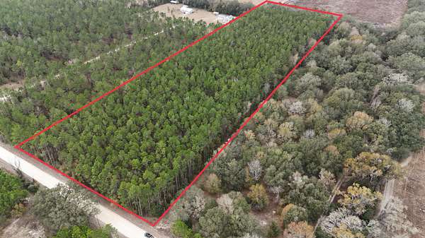 9.58 Acres of Land for Sale in Trenton, Florida