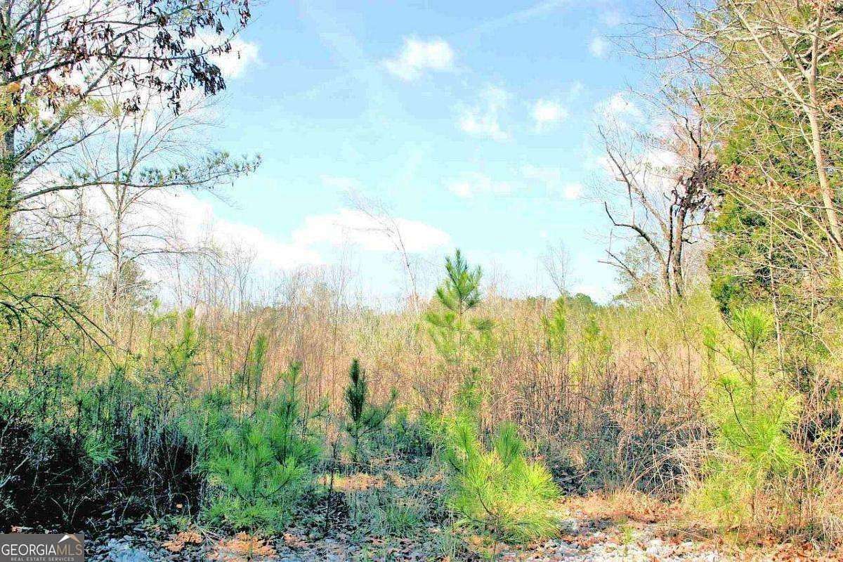 3.8 Acres of Land for Sale in Carrollton, Georgia