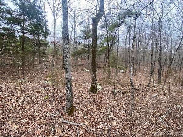 3.23 Acres of Land for Sale in Clinton, Arkansas