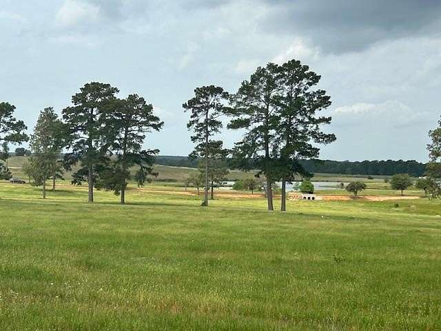 5.29 Acres of Residential Land for Sale in Hillister, Texas