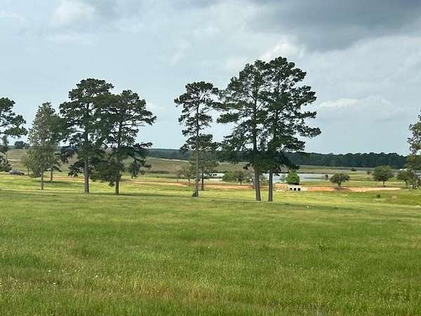 5.29 Acres of Land for Sale in Hillister, Texas
