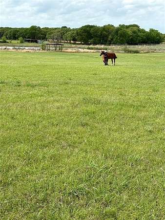 23 Acres of Land for Sale in Pilot Point, Texas