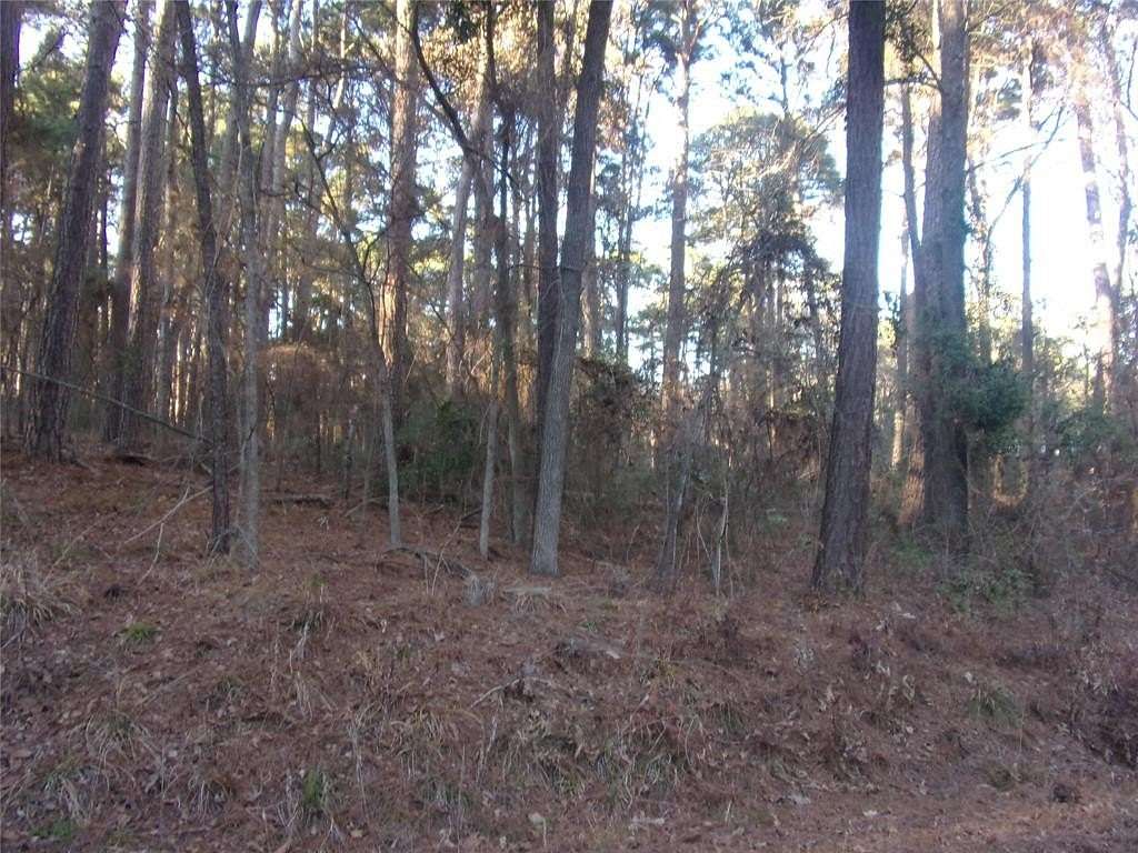 0.22 Acres of Land for Sale in Flint, Texas