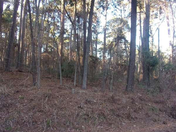 0.22 Acres of Land for Sale in Flint, Texas