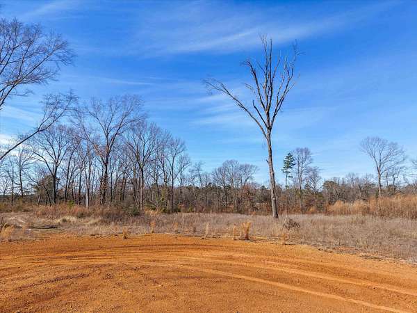 6.4 Acres of Residential Land for Sale in Diana, Texas