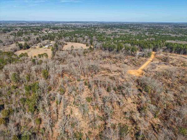17 Acres of Recreational & Residential Land for Sale in Diana, Texas