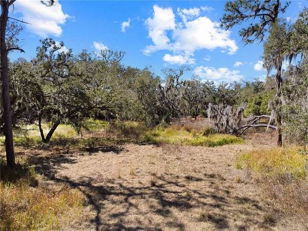 1.17 Acres of Residential Land for Sale in Riverview, Florida