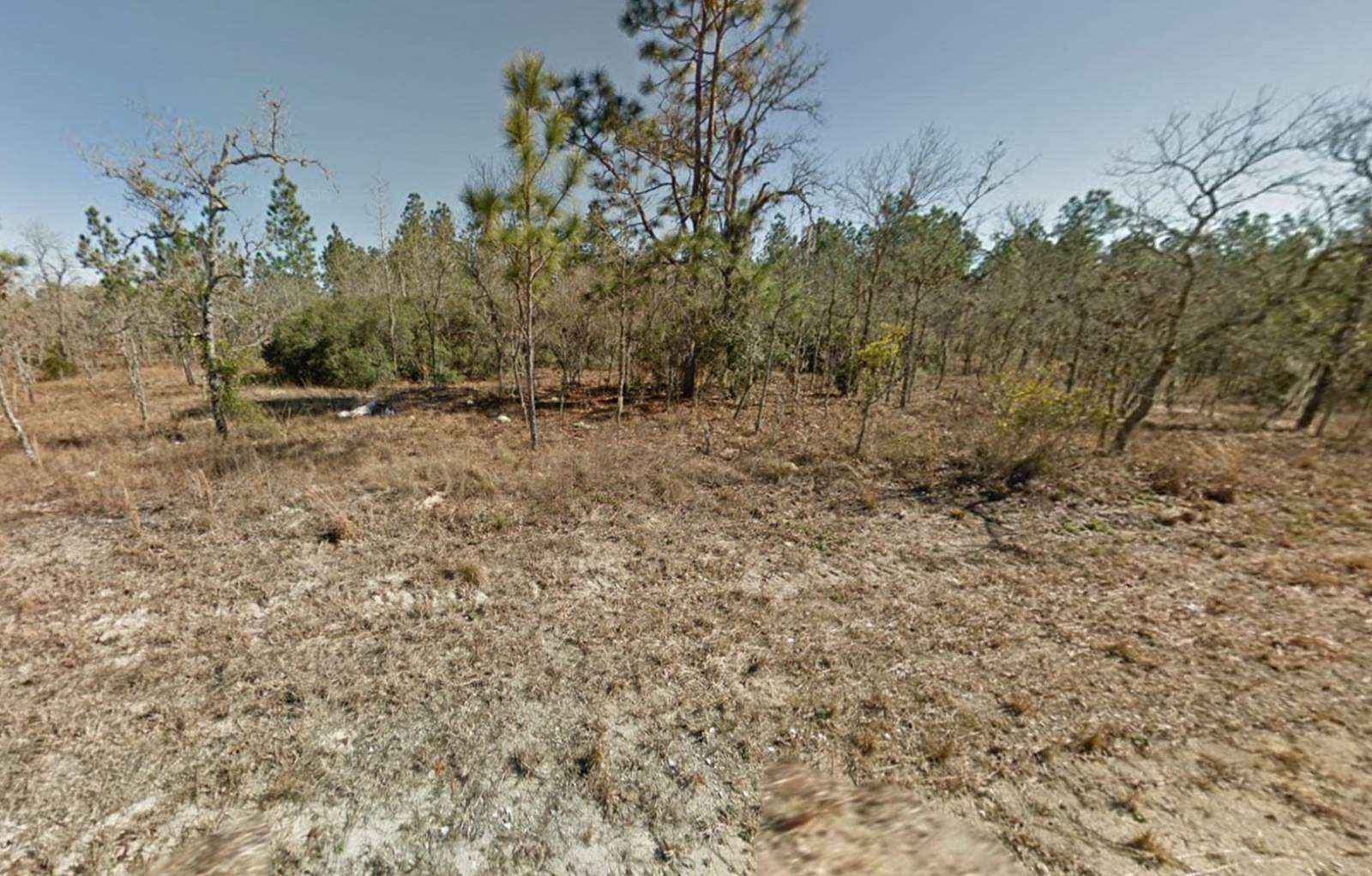 1 Acre of Residential Land for Sale in Williston, Florida