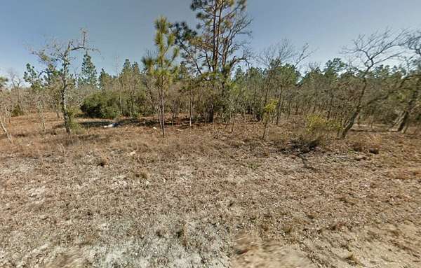 1 Acre of Residential Land for Sale in Williston, Florida