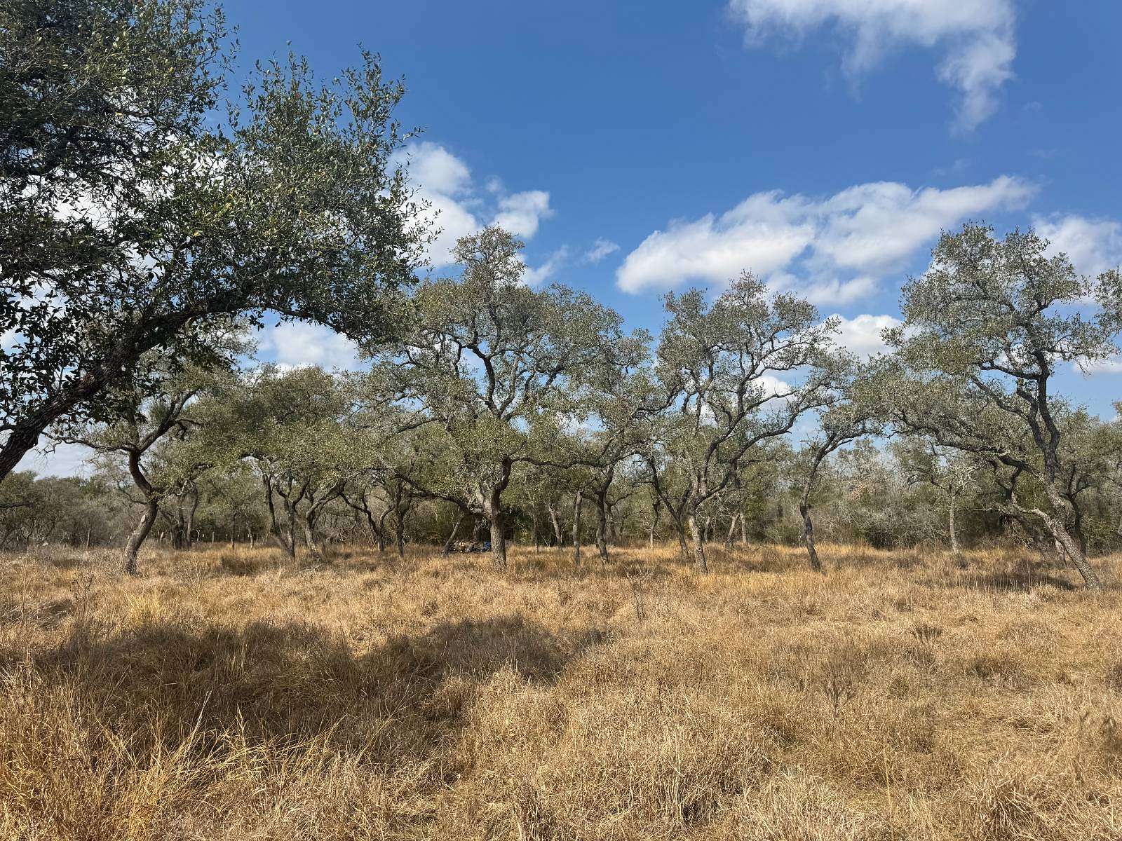 8.35 Acres of Residential Land for Sale in Nordheim, Texas