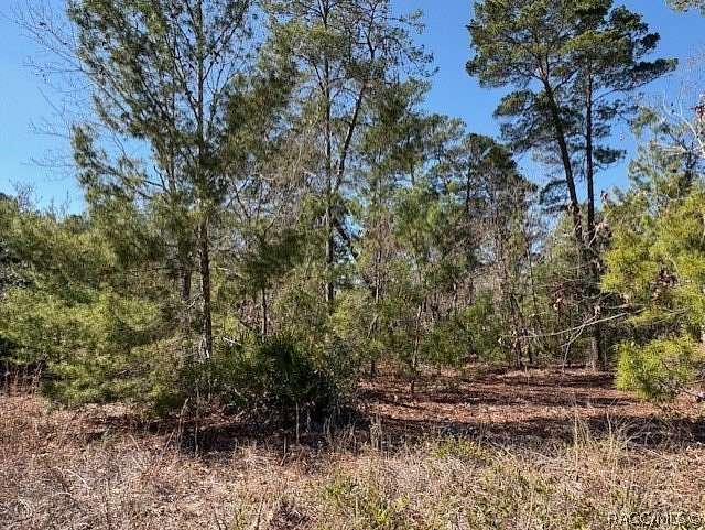 0.29 Acres of Residential Land for Sale in Homosassa, Florida