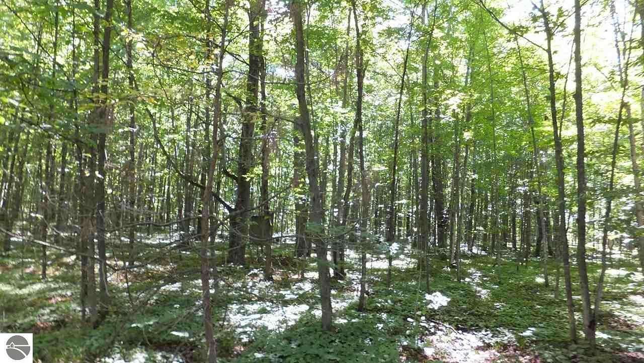 3 Acres of Residential Land for Sale in Beulah, Michigan