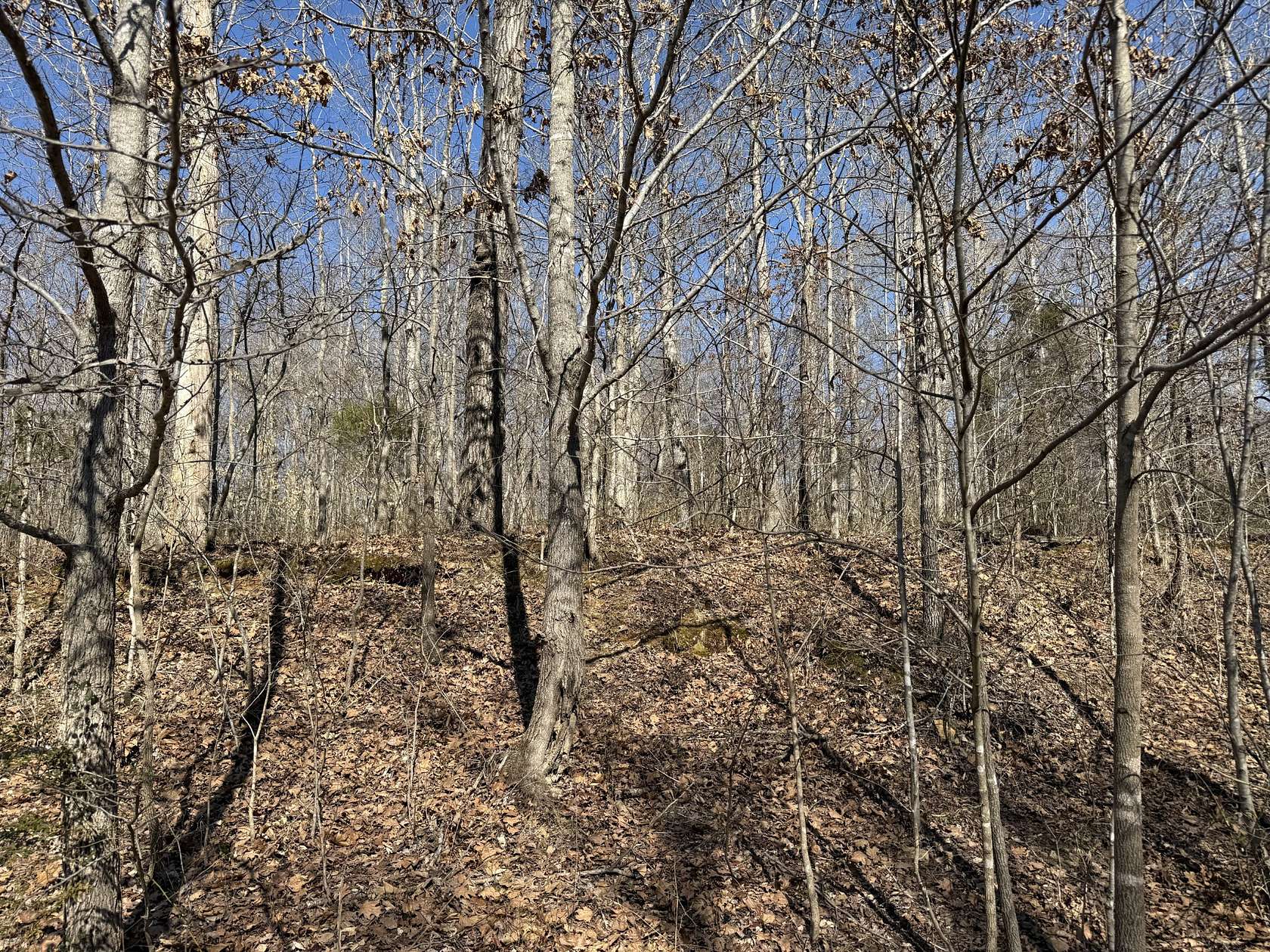 1.2 Acres of Residential Land for Sale in Tennessee Ridge, Tennessee