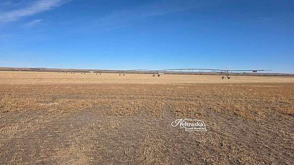160 Acres of Agricultural Land for Sale in Big Springs, Nebraska