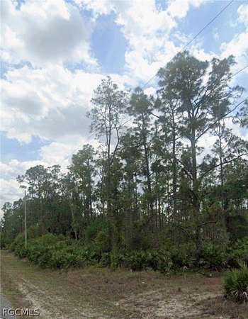 0.5 Acres of Residential Land for Sale in Lehigh Acres, Florida
