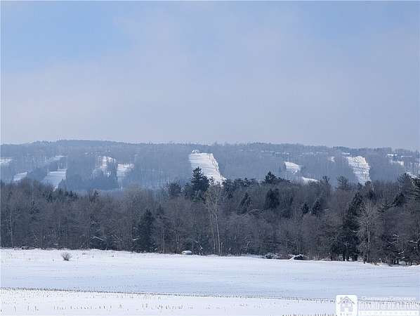 10 Acres of Recreational & Residential Land for Sale in Clymer, New York