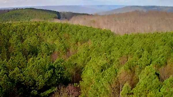 2.65 Acres of Residential Land for Sale in South Pittsburg, Tennessee