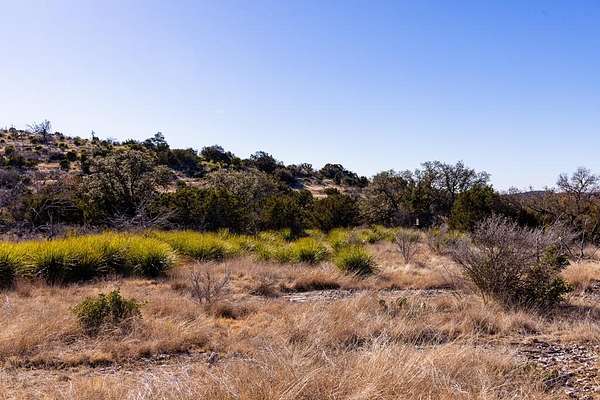 43.7 Acres of Recreational Land for Sale in Rocksprings, Texas