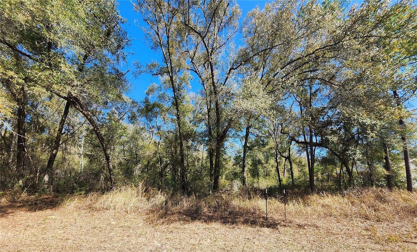 0.34 Acres of Residential Land for Sale in Citrus Springs, Florida