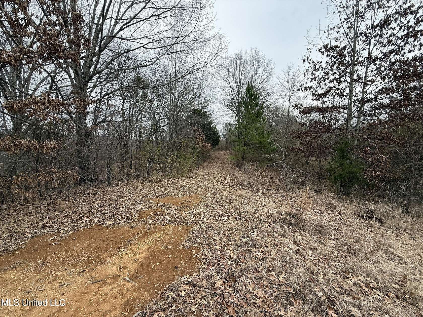 15.6 Acres of Land for Sale in Olive Branch, Mississippi